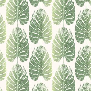 Noordwand Evergreen Wallpaper Monstera Leaves White and Green