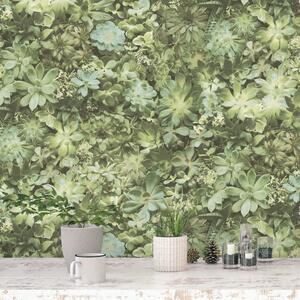Evergreen Wallpaper Succulent Green and Beige