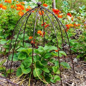 Outdoor Wire Netted Plant Protector Bronze