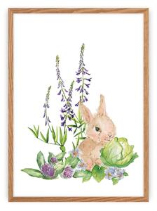 Forest Story picture Hare