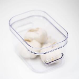 SmartStore Compact Clear Lid XS
