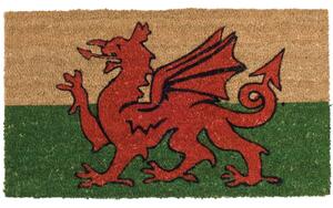 Printed coir doormat -Red dragon