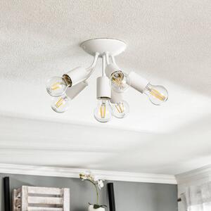 Go socket ceiling lamp, six-bulb, white