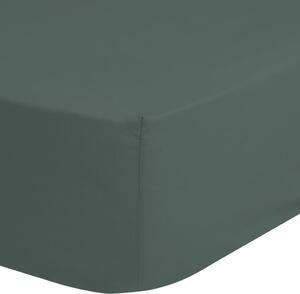 Good Morning Fitted Sheet 90x220 cm Olive