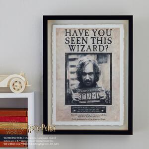 Harry Potter Wanted Wall Art MultiColoured