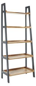 Franklin Ladder Shelf