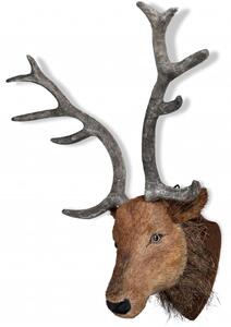 Deer Head Wall Mounted Decoration Natural Looking