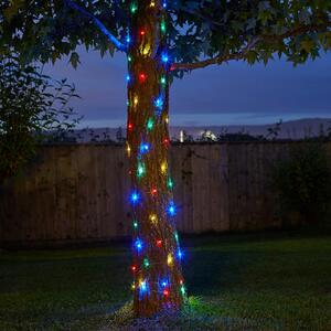 100 Multicoloured Firefly String Lights