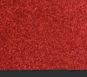 Doormat Red 40x60 cm