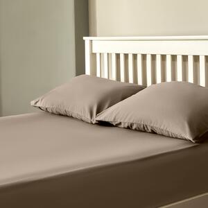 The Willow Manor 100% Cotton Percale Single Fitted Sheet - Mole