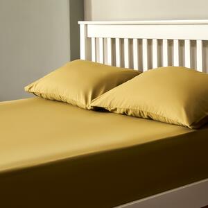 The Willow Manor 100% Cotton Percale Single Fitted Sheet - Olive