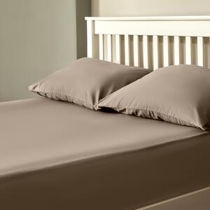 The Willow Manor 100% Cotton Percale Super King Fitted Sheet - Mole