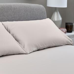 The Willow Manor Egyptian Cotton Sateen 300 Thread Count Housewife Pillowcase Pair - Champagne
