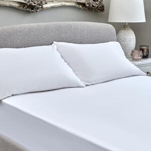 The Willow Manor Egyptian Cotton Sateen 300 Thread Count Super King Fitted Sheet - Glacier White