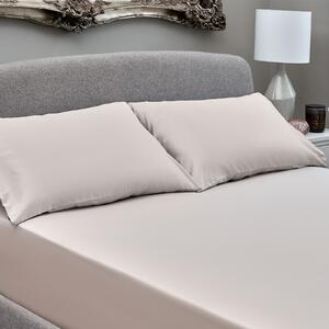The Willow Manor Egyptian Cotton Sateen 300 Thread Count Single Fitted Sheet - Champagne