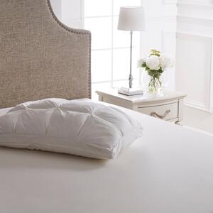 Dorma Dream Deluxe Pillow White