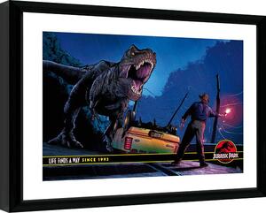 Framed poster Jurassic Park - Alan Grant & T-Rex