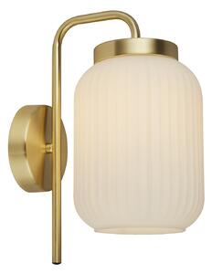 Pearl Frosted Wall Light