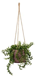 Hanging Aubergine Plant Pot - 14cm