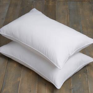 Pack of 2 Teflon Ultimate Stain Resistant Side Sleeper Pillows