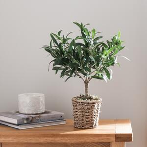 Churchgate Artificial Olive Tree in Basket Green