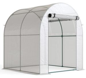 Outsunny Walk in Polytunnel Greenhouse, Green House for Garden with Roll-up Window and Door, 1.8 x 1.8 x 2 m, White Aosom UK
