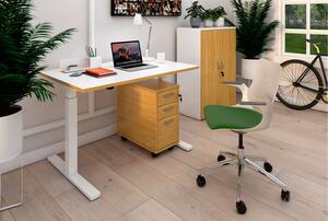 Strive Sit & Stand Rectangular Home Office Desk