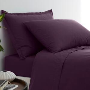 Pure Cotton Oxford Pillowcase Aubergine (Purple)
