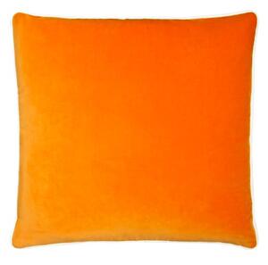 Pelham Clementine / Milk, Sustainable Feather, Cushion, 55cm x 55cm, Clementine/Milk - Andrew Martin Velvet Plain