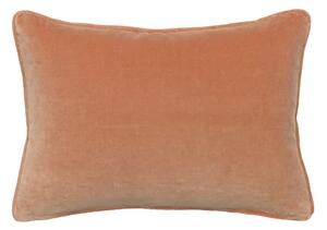 Medici Old Rose, Sustainable Feather, Cushion - Andrew Martin Eco-conscious & Cotton & Velvet Plain