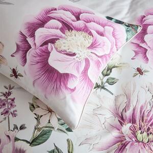 Paoletti Krista 100% Cotton Standard Pillowcase Pair Pink