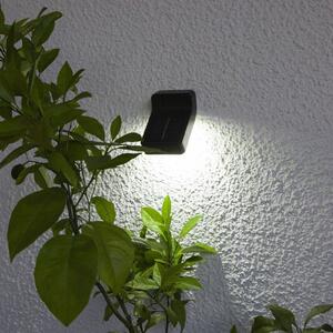 Wally LED solar light, twilight sensor