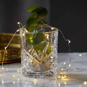 Battery-powered long Dew Drops LED string lights