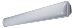 LEDVANCE Submarine moisture-proof light 148 cm 48W