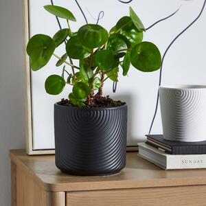 Ceramic Plant Pot Luxe Black Black