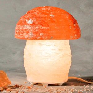 Wonderful MUSHROOM salt lamp with mushroom shape