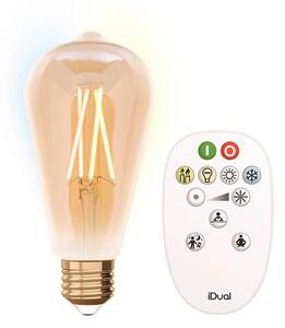 IDual LED bulb E27 ST64 9 W remote control