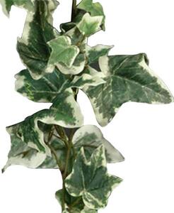 Artificial Holland Ivy Variegated Garland 182cm Green