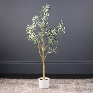 Olive Tree in White Pot 115cm Green