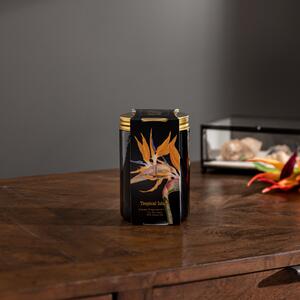 Tropical Paradise Candle, 410g Black;Gold