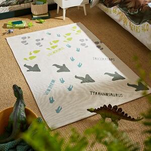 All About Dinosaurs Rug MultiColoured