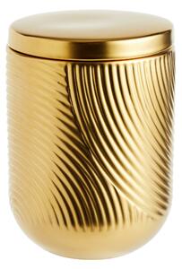 Curves Canister Gold Gold