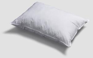 Eco Pillow | Super King x Medium | Piglet in Bed