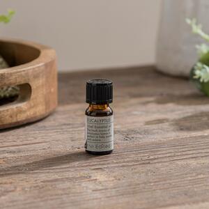 Eucalyptus Essential Oil, 10ml Clear