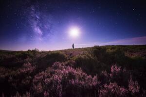 Photography Touching the Moon and the Milky Way, Carlos Fernandez