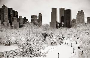 Photography Central Park winter, rabbit75_ist