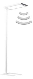 Dotoo.Free DFS 13000 LED floor lamp 840/R