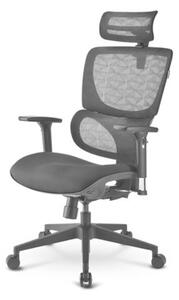 Office Chair Sharkoon Officepal C30M Black