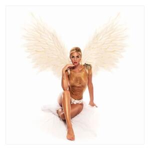 Modern Angel, Plexiglass Artwork, 100cm x 100cm, White - Andrew Martin