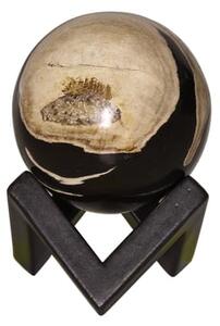 Petrified Wood Sphere, Decorative Accessory, Small - Andrew Martin